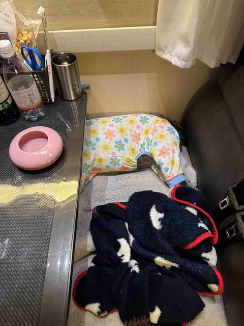 876A5F66-305C-4ECA-AB7E-0198A5907B84