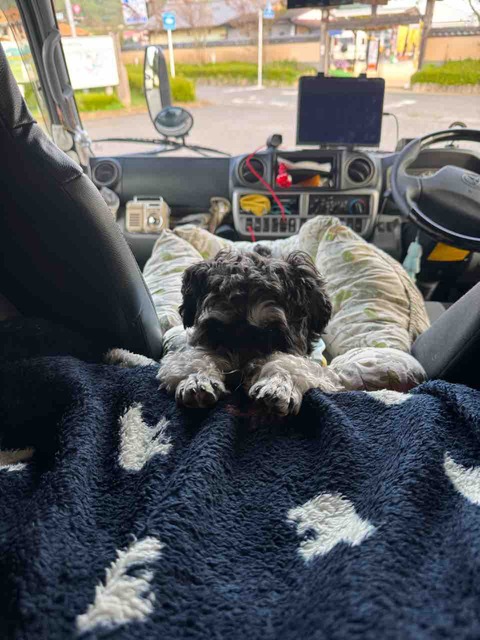 3227DC38-A195-4CE1-A3FB-AF1607249FA0