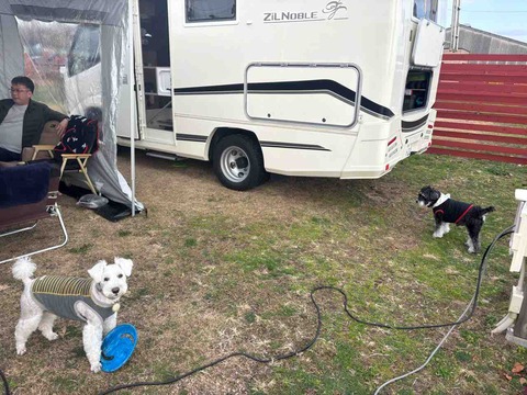 30582C1B-2BFF-4432-902B-1F628E4A65F2