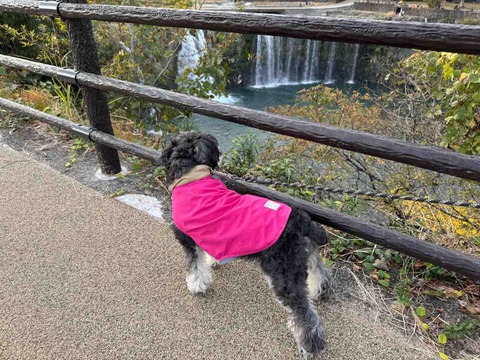 55E60C56-BAEF-4B2D-A19D-FEF295C7E460