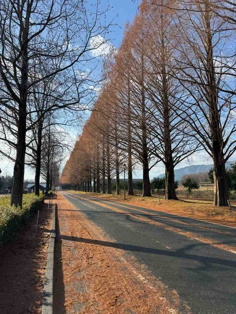 58167850-A258-43DD-A915-8CC8EE5C6388