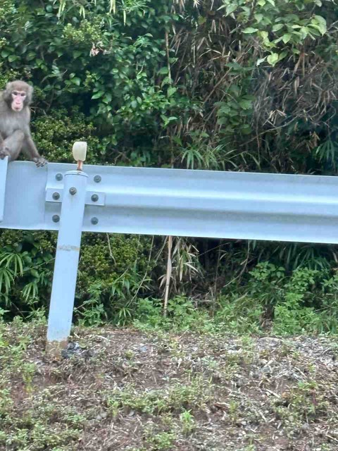 C1E4E48F-FF04-442E-9EF0-B544E2822EC8