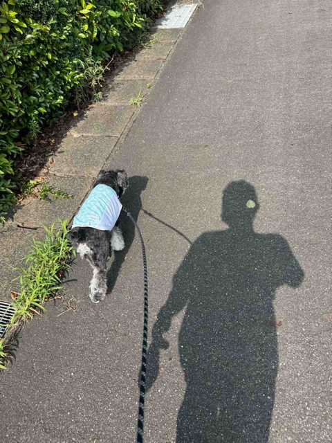 BC1F475B-8EB1-433B-A15B-FBE70A6267FC