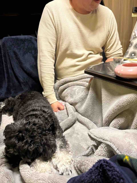 EC063465-7D31-4B21-A6FF-DD45E127257A