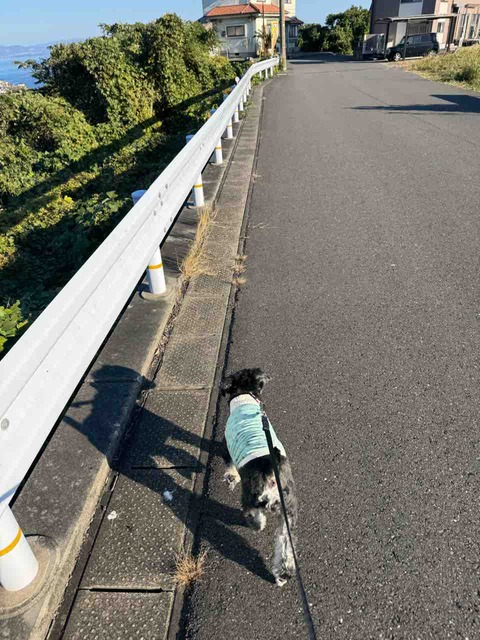 2F14ED82-830A-42E0-8265-2B830CD0B621