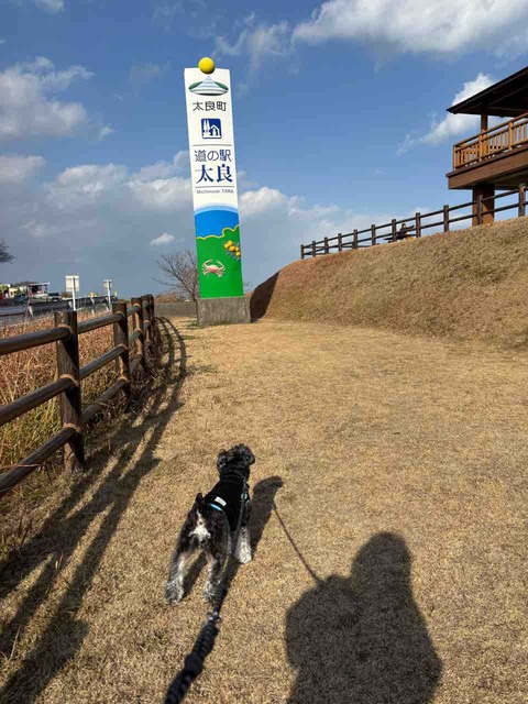 7FEB2D97-896B-46A1-97AE-3FDFBA585504