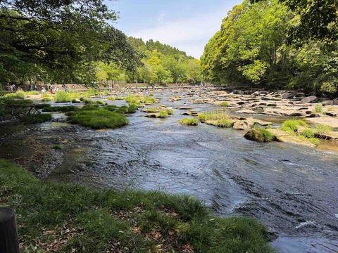 0A8CD6DB-0499-456B-8E95-6D3499A0DCAD