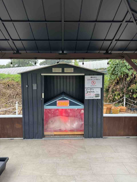 0D556528-1084-4CEB-8548-87A27BC52843