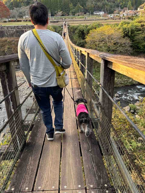 125868D2-DD9E-4EE4-B0EF-CC32C8C93834