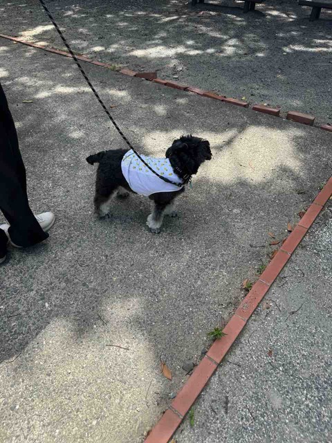 45C72108-41C1-4616-B97E-EDB4FE09863B