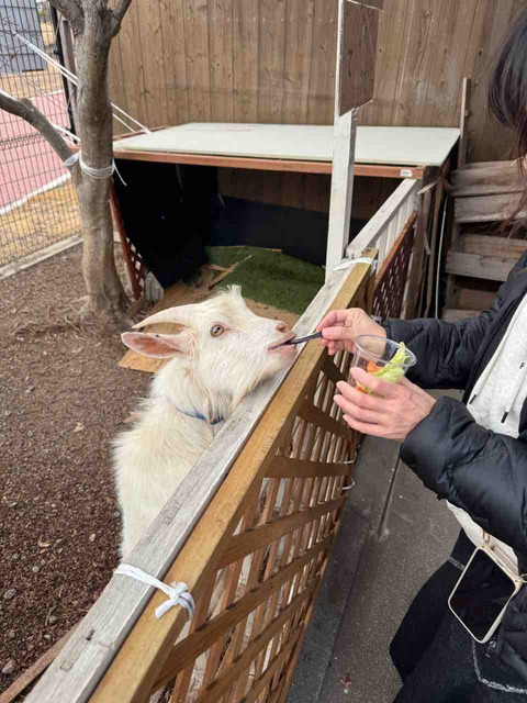 8F918356-2DC4-4A43-BE9E-AFC2C3E8435C