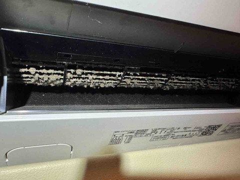 3D97C237-596A-4483-9FB7-CA6A94555323