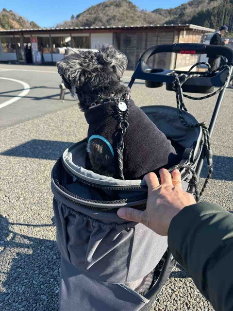 26D8B98B-78D8-4E8F-9B4F-9AF5B3FC6620