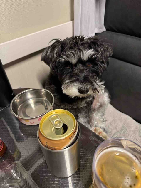 5868E59C-CEAF-471A-A440-6FFD9258F96D