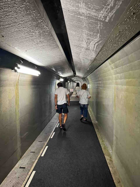 D797E279-2DD1-4E13-A32B-A8EA235D7F52