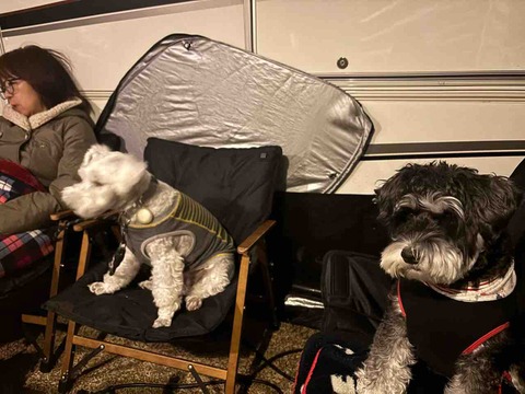 C14B16DD-46BD-40B6-9F52-C1BF29732B0D