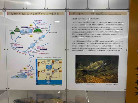 6924CC1C-3659-4306-B9F7-648C3C249E9C