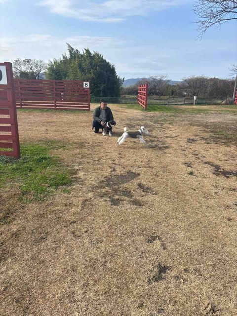 EEEB5C99-42D8-42C0-8E9D-6BF2C0108174