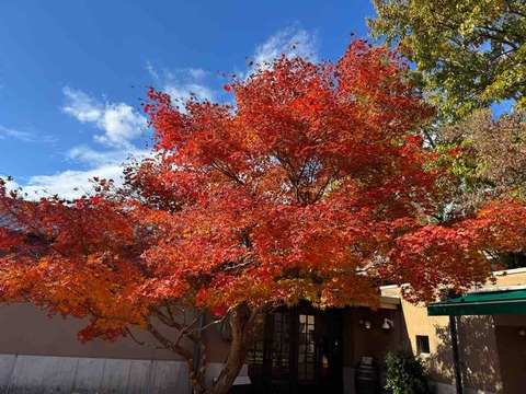 CA1B9832-FA01-4B8A-B5FF-AD045DFE0EBB