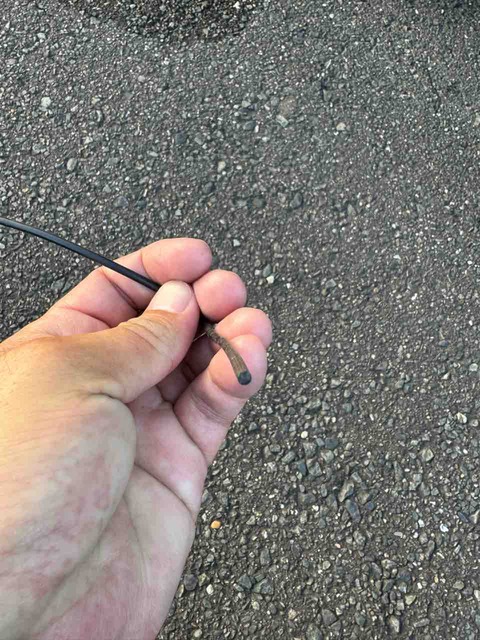 96ED5E48-25EA-4BA6-A468-28670C09A79C