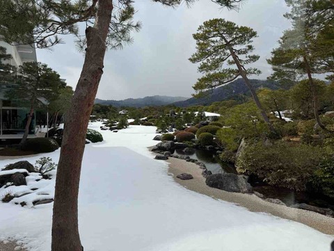 93E738A0-4676-4755-813B-B94250ACD9DE