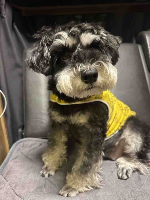 623C8F93-A38E-467E-A005-863D38C19DE9