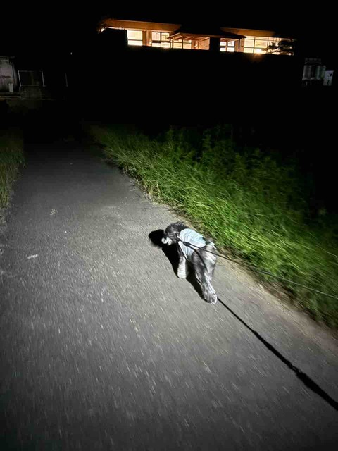 9AD57BDA-10EE-4B38-9EE6-A9BE1637FB3D