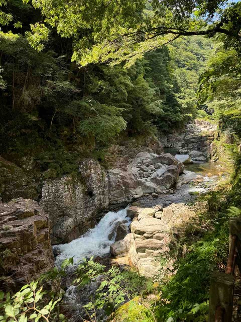 CDE5EC37-1B82-4D66-80D7-BE0C636B9AAD