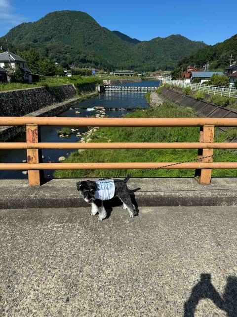 F3D6739B-7E1F-4448-B6DF-A623A0CC4594