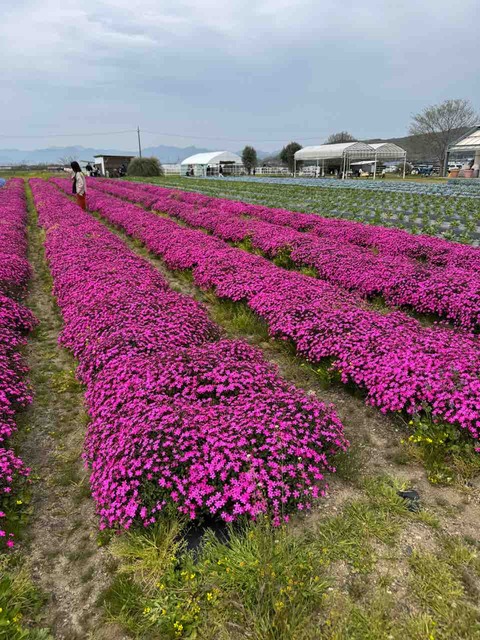 749E70B2-089F-4B21-ABD0-C3861D0FCD6C