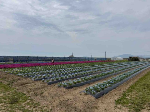 268E5B72-DB01-4F0D-98DA-8993B5263EBF