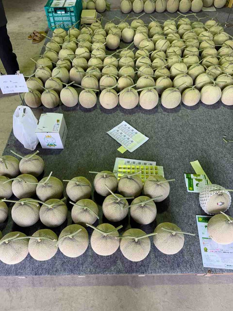 E49ACB9C-E8DC-41CF-A822-33E347FEF7AA