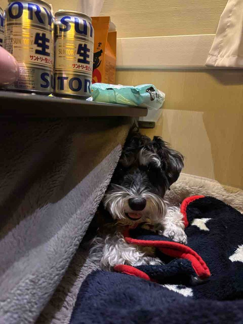 EC25C5AF-D392-4667-91D3-19575934A139