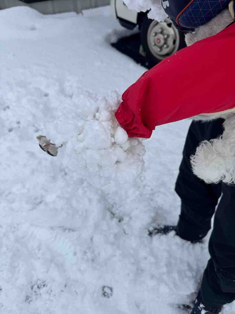 0B2B19E6-030F-4AD7-9B07-D82220F1EC3A