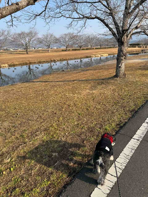 C7E68336-D60F-4208-978A-289E13FFC548