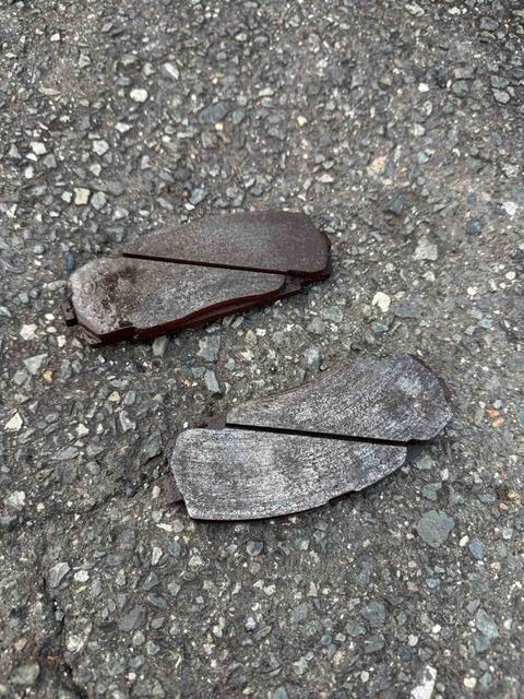 56D7B255-F1F3-4104-BC48-980735791372