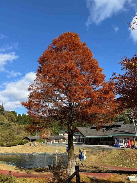 7C89D9CD-6E79-452E-B710-4CDB392789E2