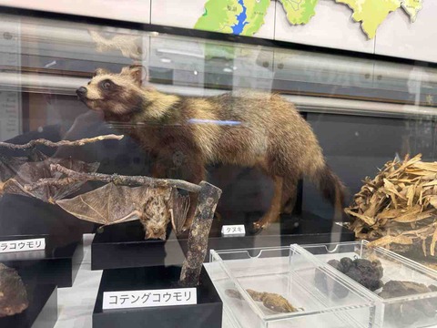 D2208375-C932-4B21-A251-A92B1A7BBBB1