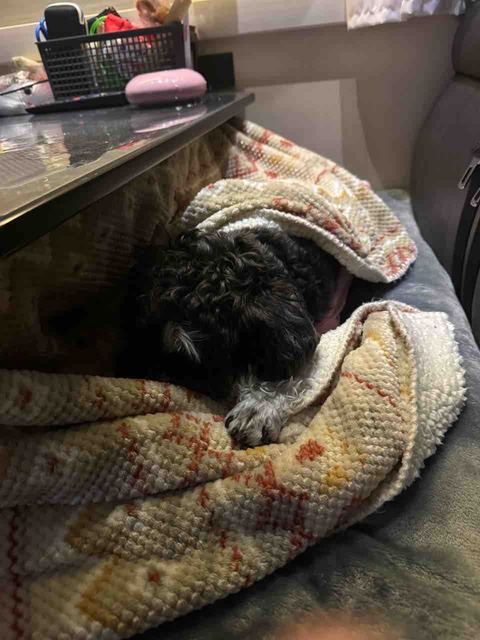 8A538D3F-6C5F-4630-BC0E-E02317AE4305