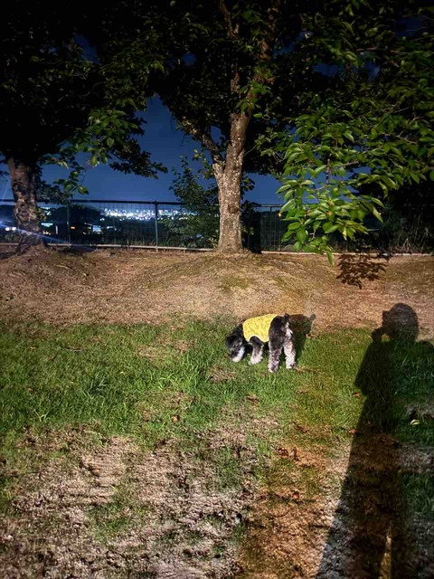 F5B9B24F-0614-46E3-8280-0AF4DFCF1132