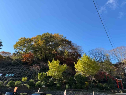 FBBF1D11-629D-489E-9A68-1C96B8096CFE