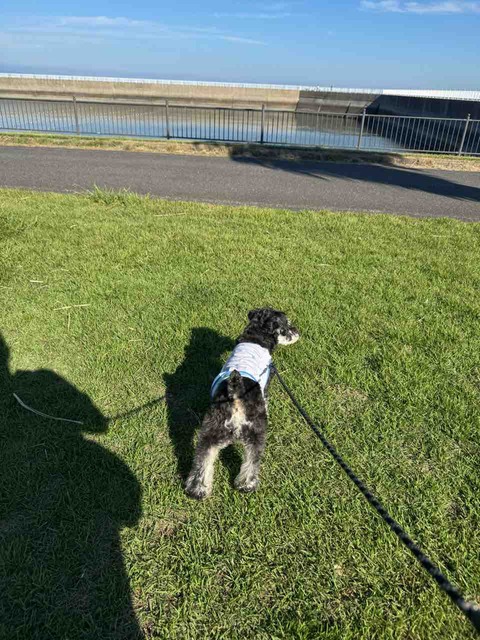 C014083C-BAC2-49B1-9E45-5CAED2912D10