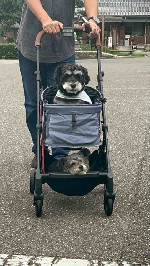 2504AB39-517E-45E1-96CF-B59D230C95E3