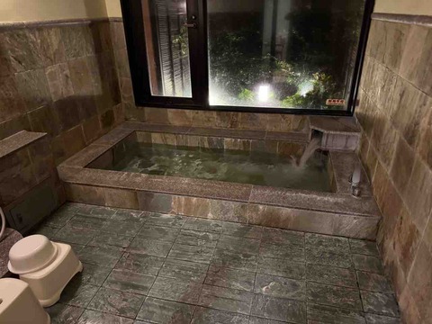 A7583E5A-84E8-4078-A1D7-86294C52BFFE