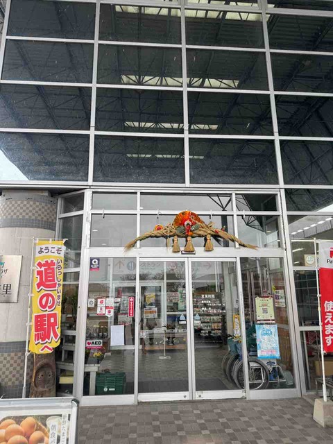 1B3C49DD-3D87-4B7F-B0F6-5FE2C97625E5