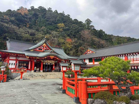 3D8A070A-6C01-4796-AEFE-A60F9A303A8E