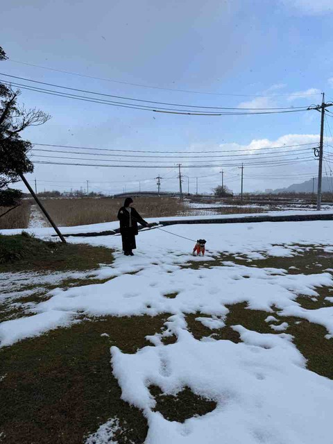 028C848D-1B78-41B6-BB52-B6A37C436933