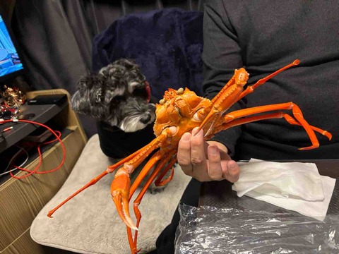 28144D19-1A9B-4D94-8303-23BA53101DA3