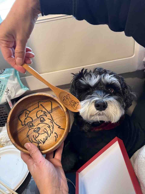 9BC9CE05-A234-4572-8316-5093B5DAB328