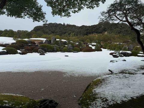 3A628420-ADD7-40C3-98B7-2AD5945F73D7